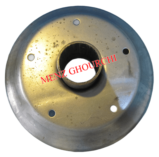 رینک بادوام فرغون.